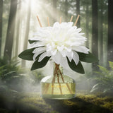 SAUSSAVITA Morning Dewgrass reed diffuser in a fresh morning setting